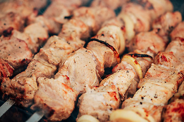 Image showing grilled caucasus barbecue