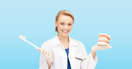 Image showing smiling female doctor with toothbrush and jaws