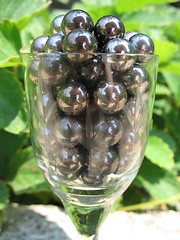 Image showing Metal balls in wine glass