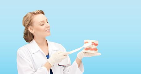 Image showing smiling female doctor with toothbrush and jaws