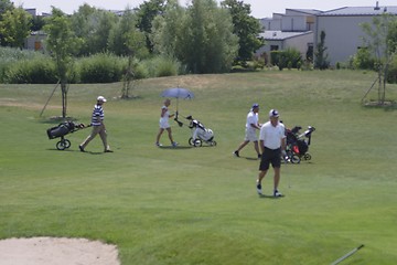 Image showing Golfers in golf course