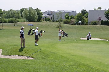 Image showing Golfers in golf course