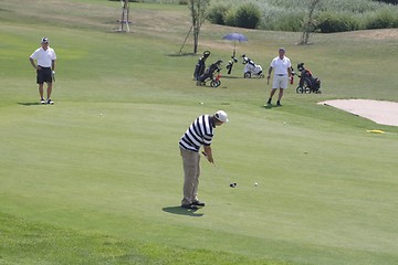 Image showing Golfers in golf course