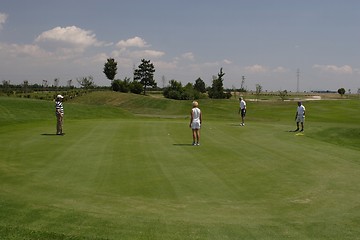 Image showing Golfers in golf course