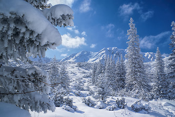 Image showing Idyllic winter