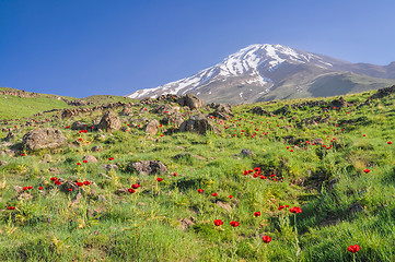 Image showing Damavand in Iran