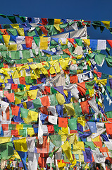 Image showing Buddhist prayer flags in  Dharamshala, India