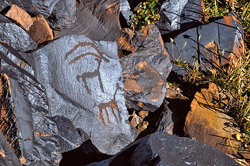 Image showing Ancient petroglyphs