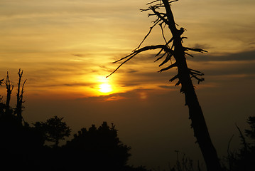 Image showing Deadly sunset