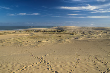Image showing Sand dunes