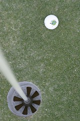 Image showing Golf ball on golf green