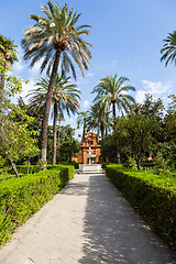 Image showing Seville Alcazar Garden