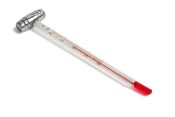 Image showing Wine Thermometer