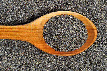 Image showing Poppy seeds