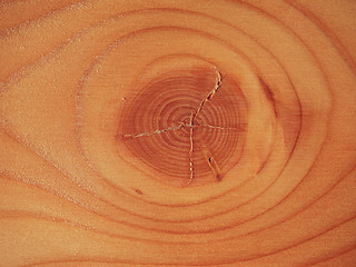 Image showing Larch wood background