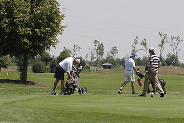 Image showing Golfers in golf course