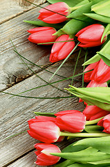 Image showing Spring Tulips