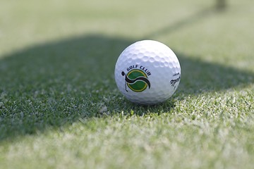 Image showing Golf ball on golf green