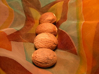 Image showing nutmeg