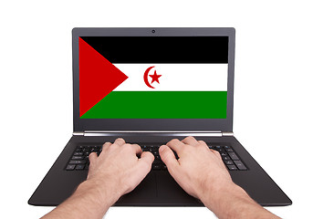 Image showing Hands working on laptop, Western Sahara