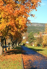 Image showing Autumn pathway