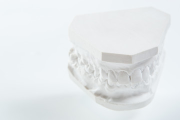 Image showing Gypsum model of human jaw on a white background.