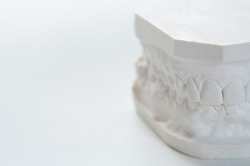 Image showing Gypsum model of human jaw on a white background.