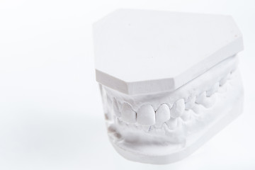 Image showing Gypsum model of human jaw on a white background.