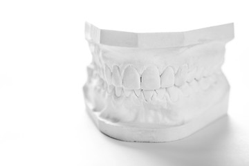 Image showing Gypsum model of human jaw on a white background.