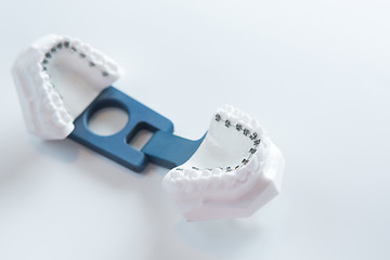 Image showing Dental lower jaw bracket braces model on white