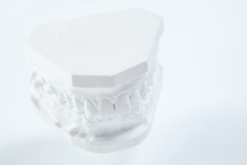 Image showing Gypsum model of human jaw on a white background.