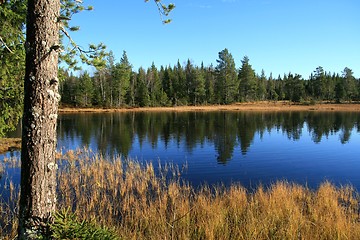 Image showing Autumn tarn