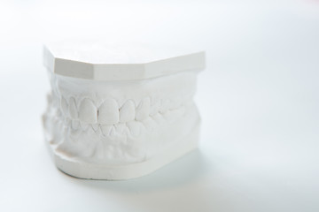 Image showing Gypsum model of human jaw on a white background.