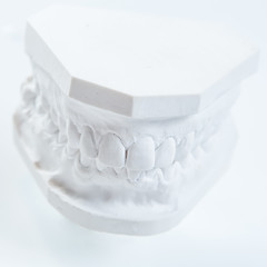 Image showing Gypsum model of human jaw on a white background.