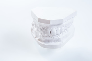 Image showing Gypsum model of human jaw on a white background.