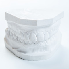 Image showing Gypsum model of human jaw on a white background.