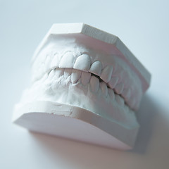 Image showing Gypsum model of human jaw on a white background.