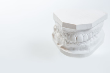 Image showing Gypsum model of human jaw on a white background.