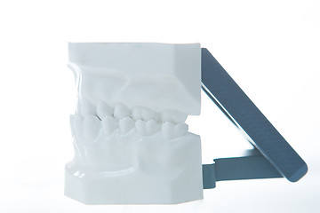 Image showing Dental model