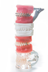 Image showing Dental model