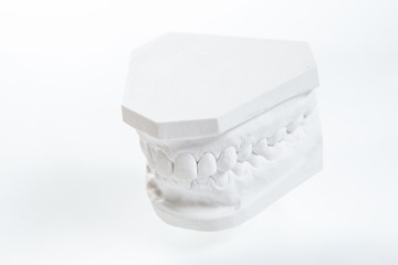 Image showing Gypsum model of human jaw on a white background.