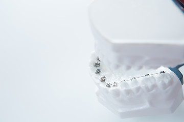 Image showing Dental lower jaw bracket braces model on white