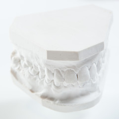 Image showing Gypsum model of human jaw on a white background.