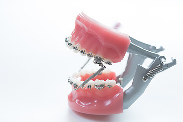 Image showing Dental lower jaw bracket braces model on white