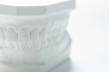 Image showing Gypsum model of human jaw on a white background.