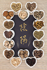 Image showing Yin Yang Chinese Medicine