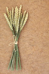 Image showing Wheat Bundle 