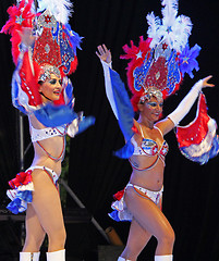 Image showing Mexican Carnaval 2013