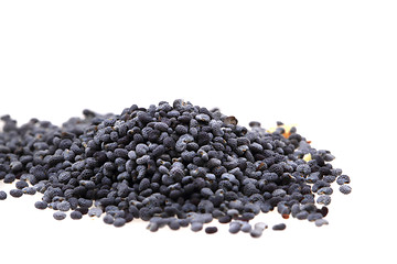 Image showing poppy seeds 