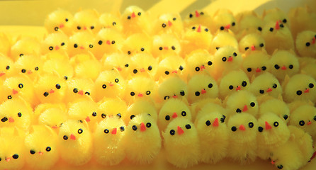 Image showing yelow chicken background